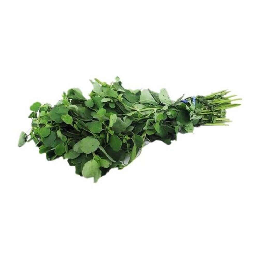 PAPALO