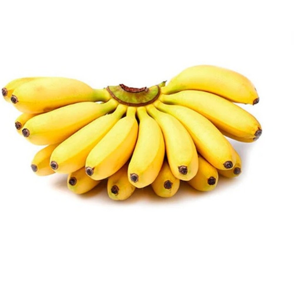 PLATANO DOMINICO