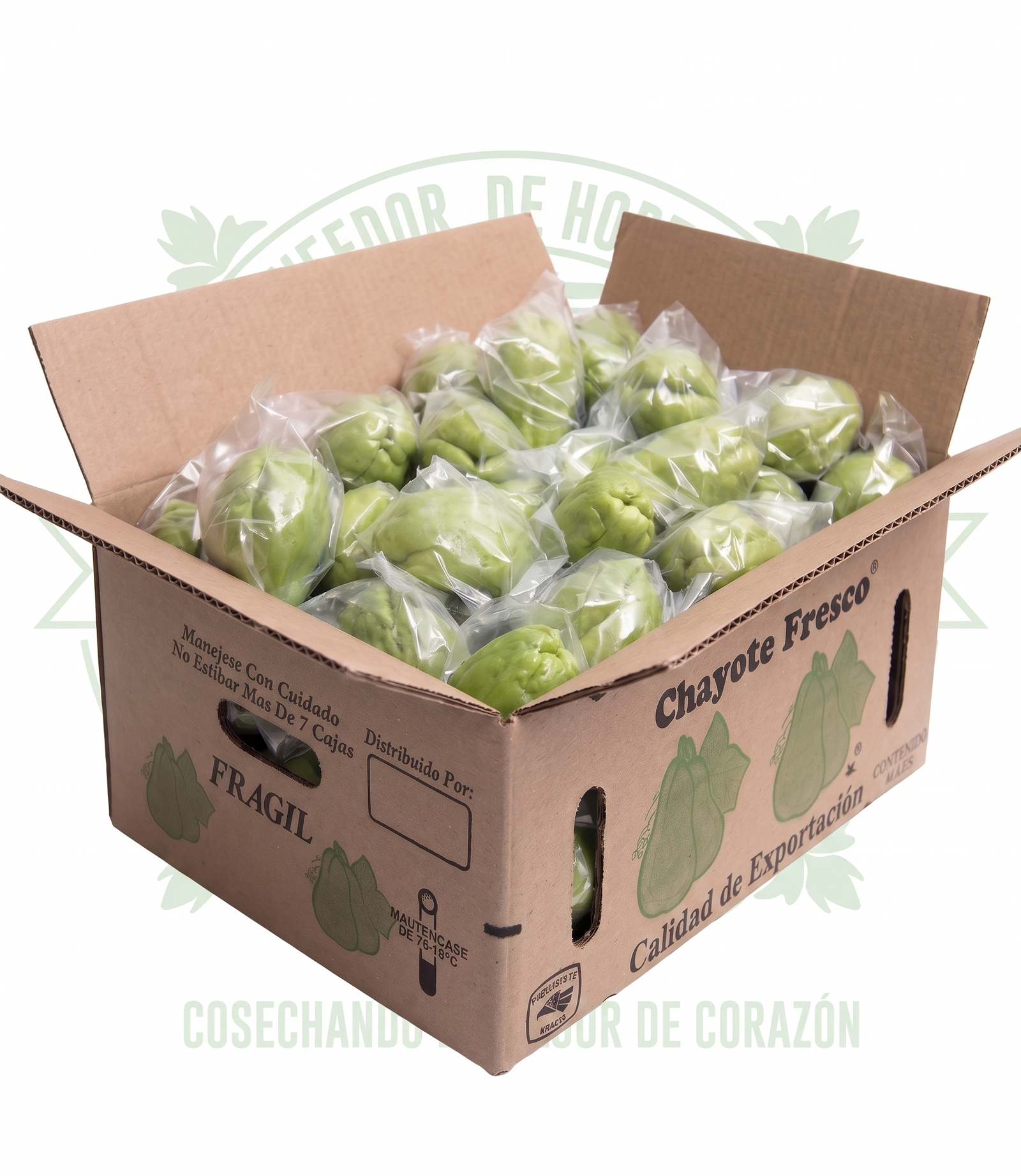 CAJA CHAYOTE SELECCIONADO