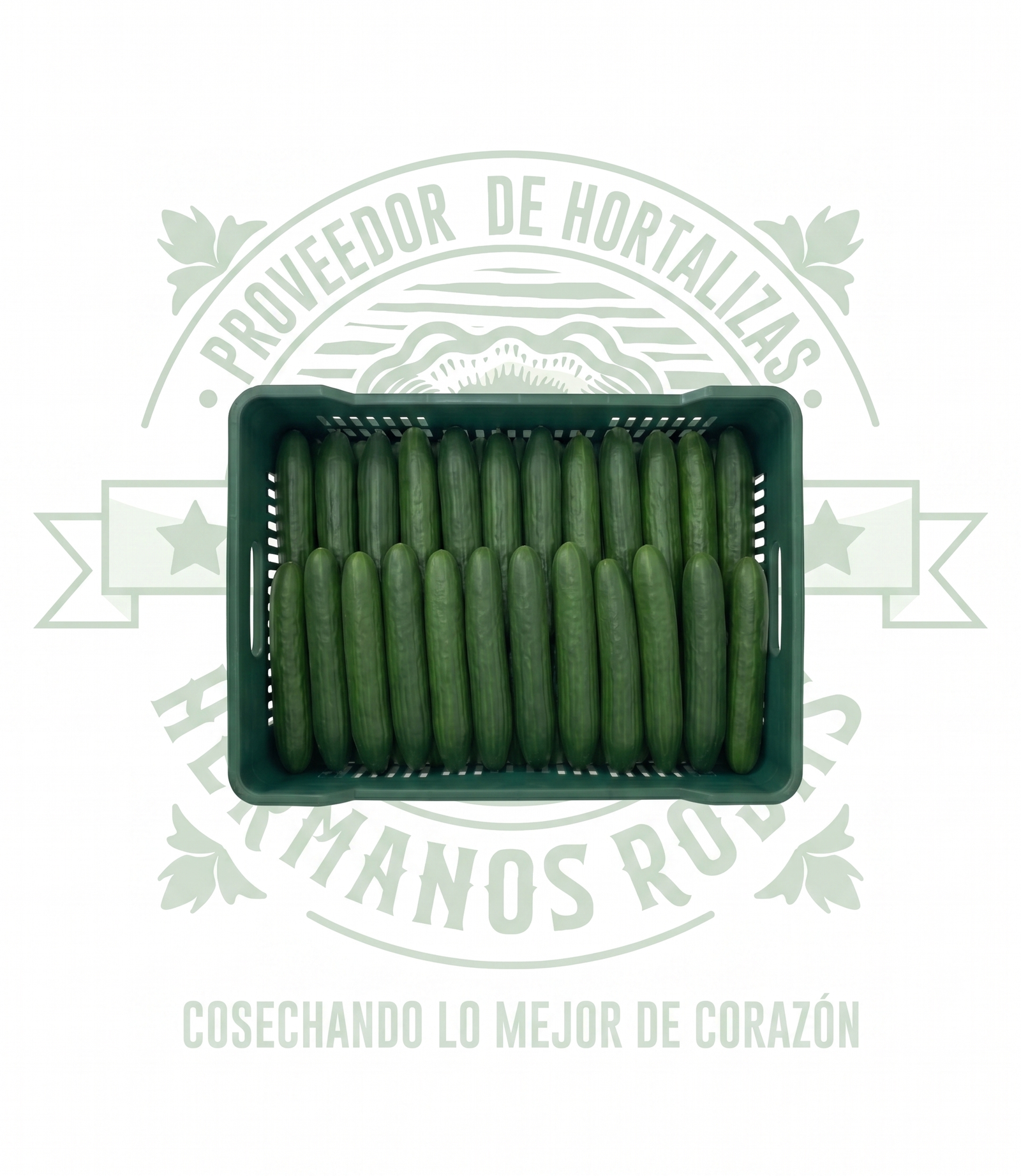 CAJA DE PEPINO  en Querétaro - Distribuidora Hermanos Rojas
