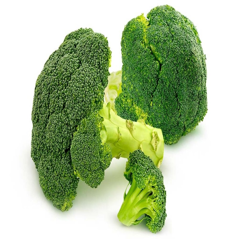 Brócoli fresco de alta calidad, florete verde intenso, distribuido por Hermanos Rojas en Querétaro