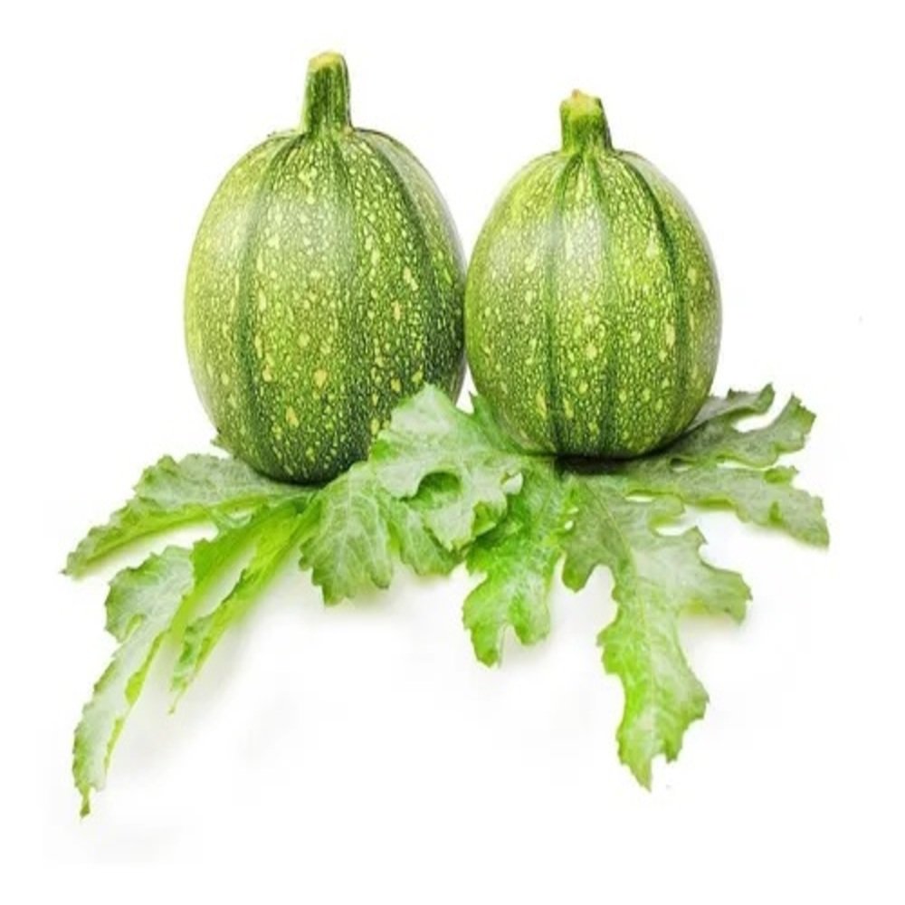 Calabaza Bola fresca de alta calidad de Distribuidora Hermanos Rojas Querétaro