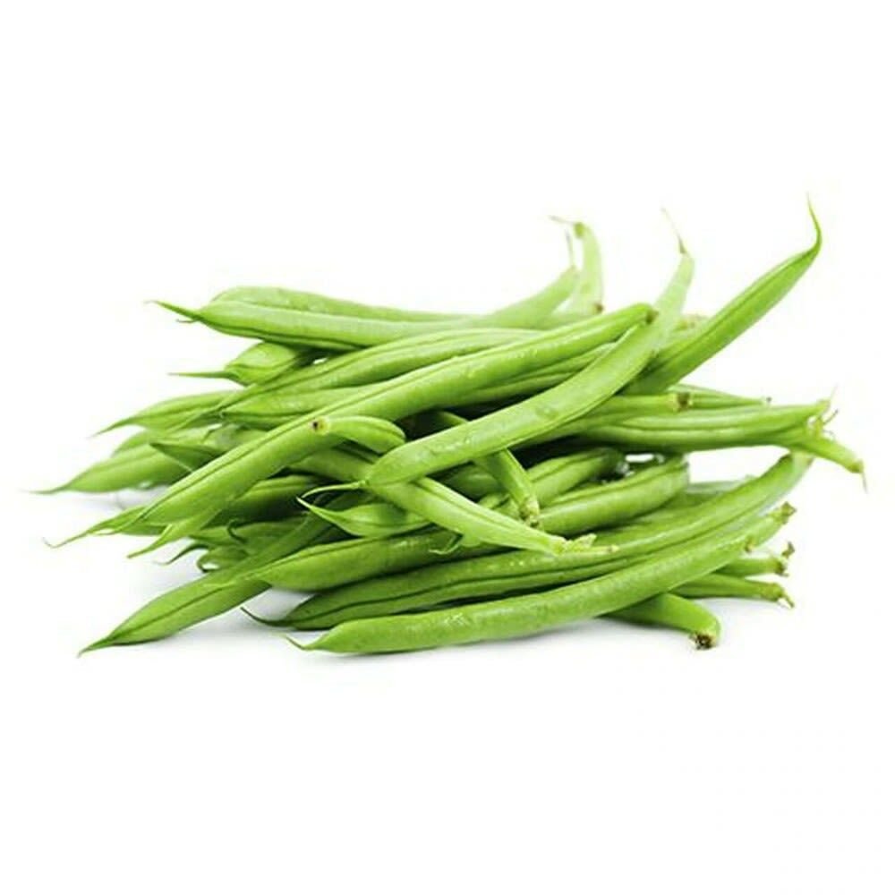 EJOTE