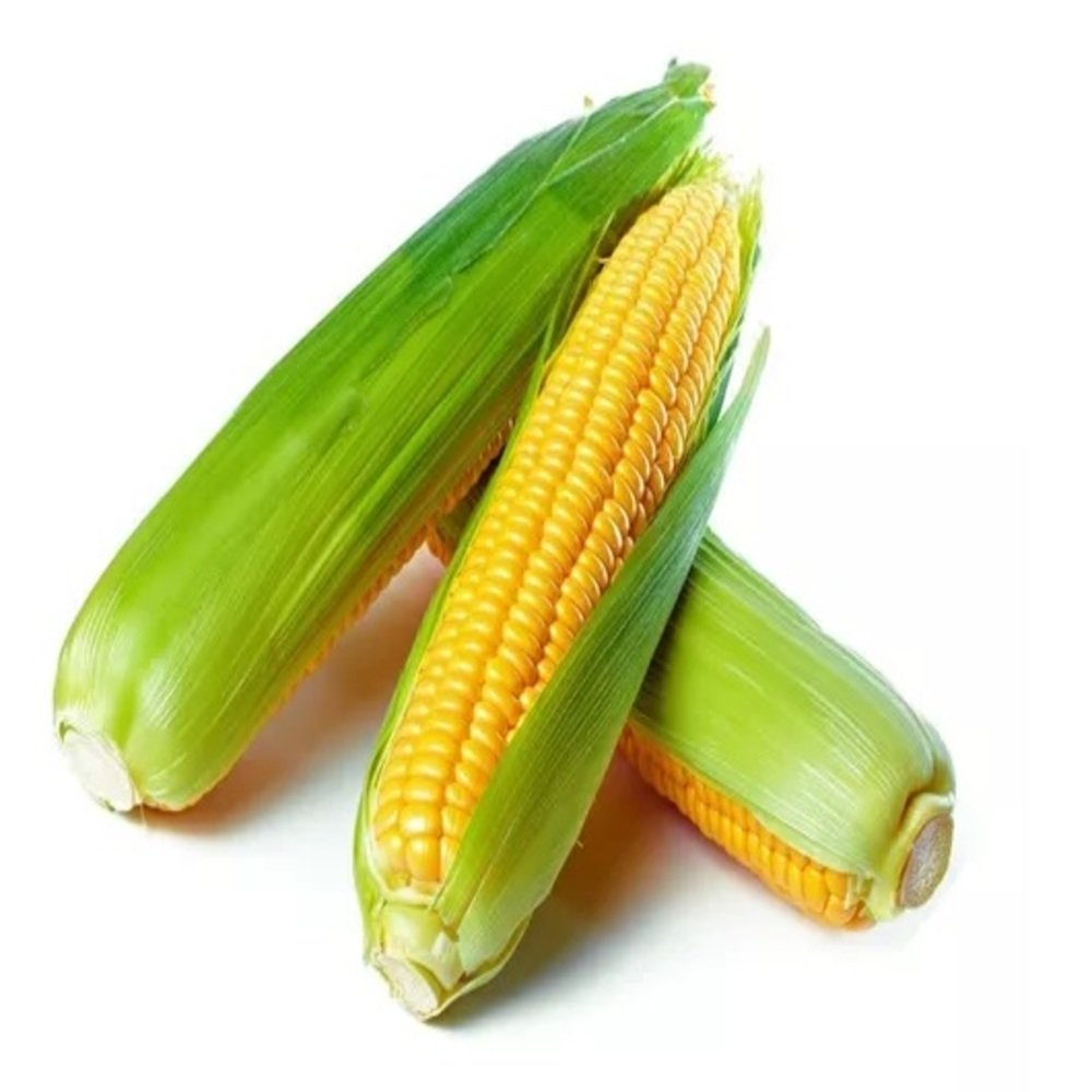 ELOTE AMARILLO