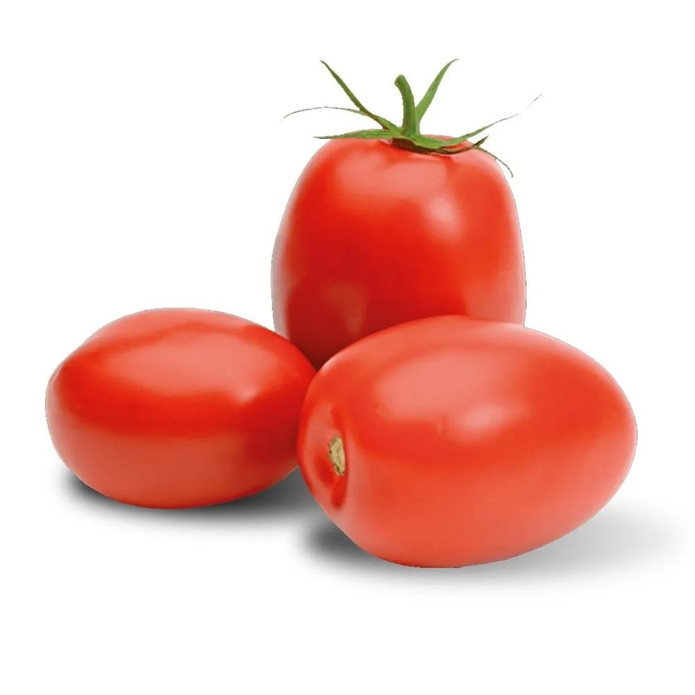 JITOMATE SALADETTE