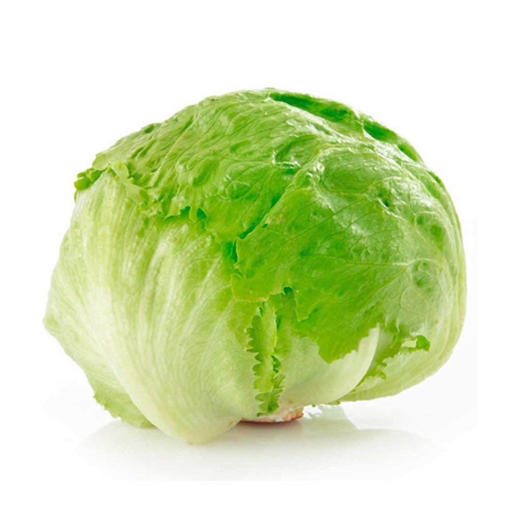 LECHUGA ROMANA