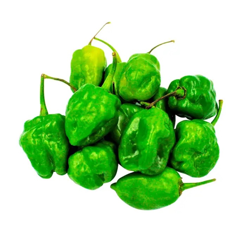 CHILE HABANERO VERDE - Distribudora Hermanos Rojas