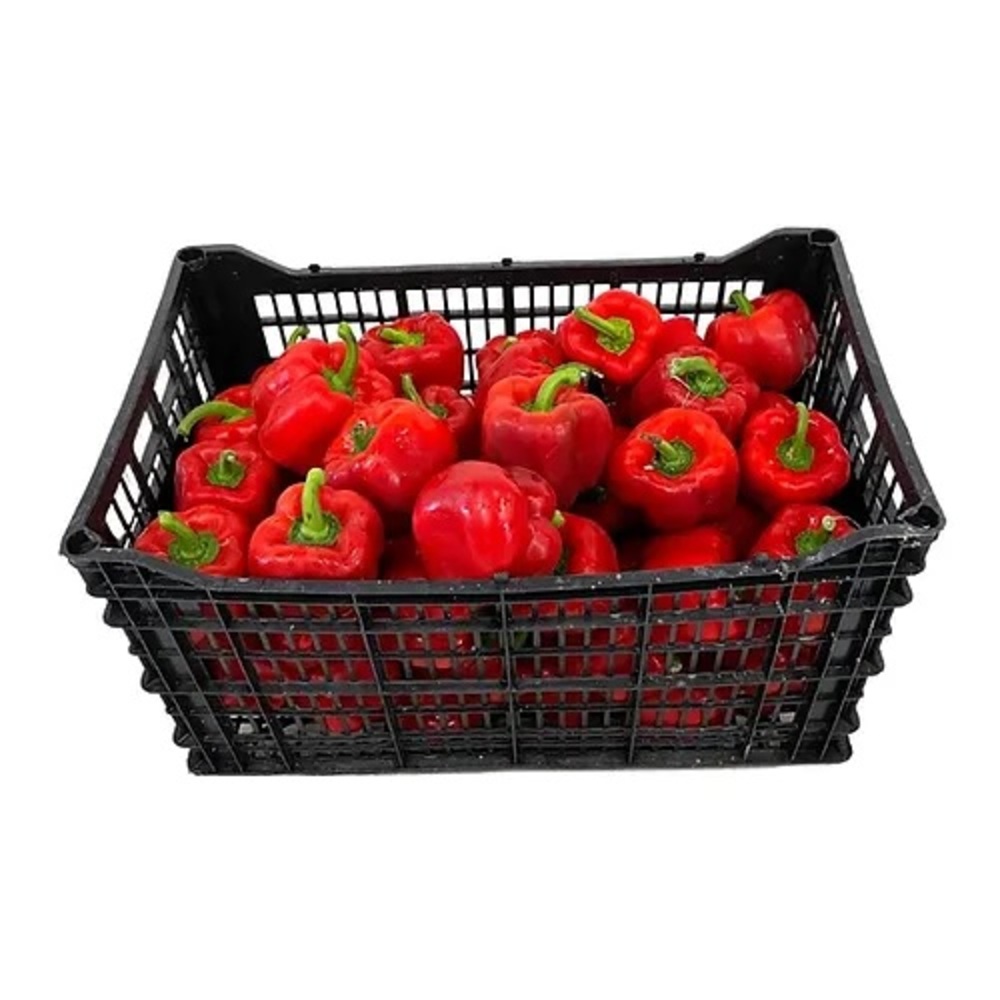 CAJA PIMIENTO MORRON ROJO - Distribudora Hermanos Rojas